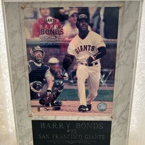 San Francisco Giants Plaque Wall Art - White/Marble